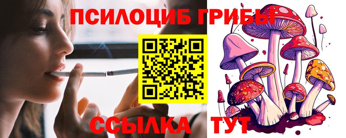 Псилоцибиновые грибы GOLDEN TEACHER Пушкино