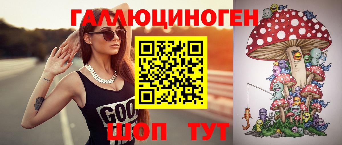 где купить наркотик  Псилоцибиновые грибы прущие грибы  Пушкино  Вход с VPN  Галлюциногенные грибы прущие грибы 